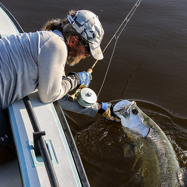 Fly fishing for tarpon in the Florida Everglades with Captain Mark