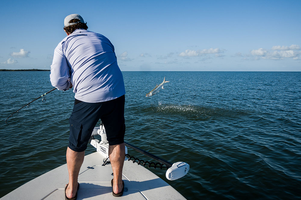 Everglades Tarpon fishing